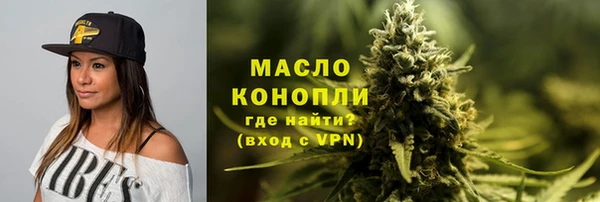 дмт Инта