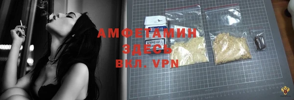 ПСИЛОЦИБИНОВЫЕ ГРИБЫ Инсар