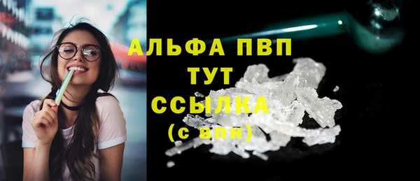 ПСИЛОЦИБИНОВЫЕ ГРИБЫ Инсар