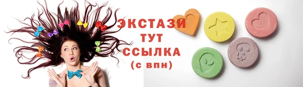 дмт Инта