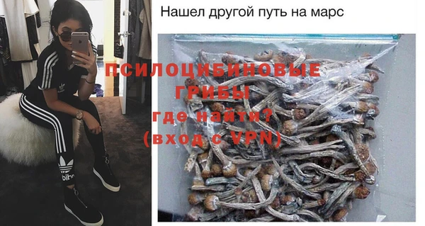 дмт Инта