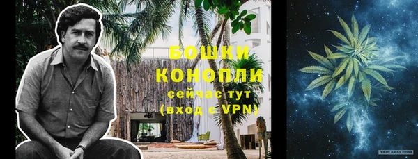 дмт Инта