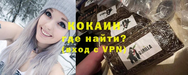 дмт Инта