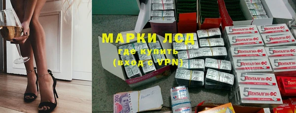 дмт Инта