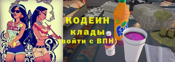 ПСИЛОЦИБИНОВЫЕ ГРИБЫ Инсар