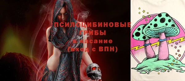дмт Инта