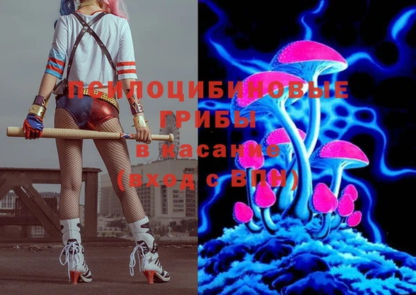 дмт Инта