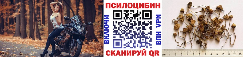 Псилоцибиновые грибы GOLDEN TEACHER  купить закладку  Слободской 