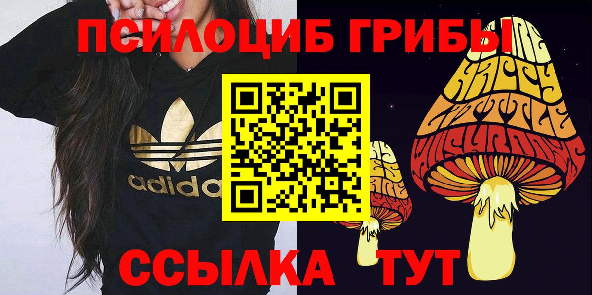 Галлюциногенные грибы Magic Shrooms Слободской