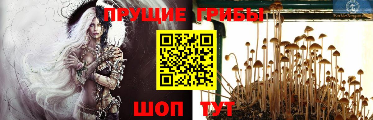 Слободской  Псилоцибиновые грибы MAGIC MUSHROOMS  Вход с VPN  Псилоцибиновые грибы Magic Shrooms 